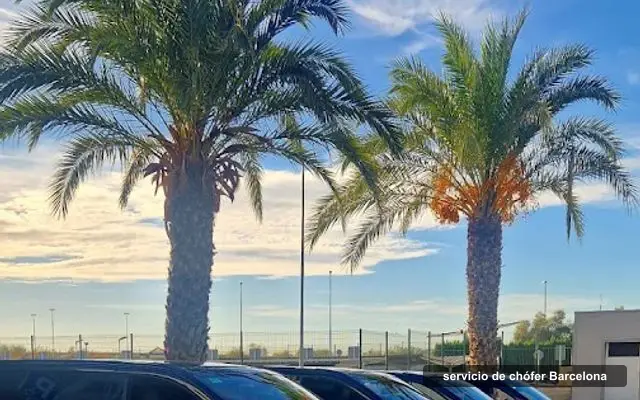 Chauffeur Privé Espagne, servicio de chófer en Barcelona