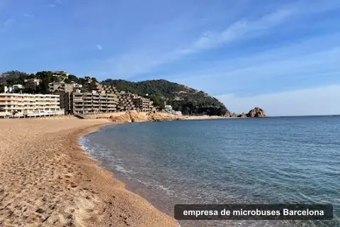 Pandabus lloguer minibus amb conductor, empresa de microbuses en Barcelona (5)